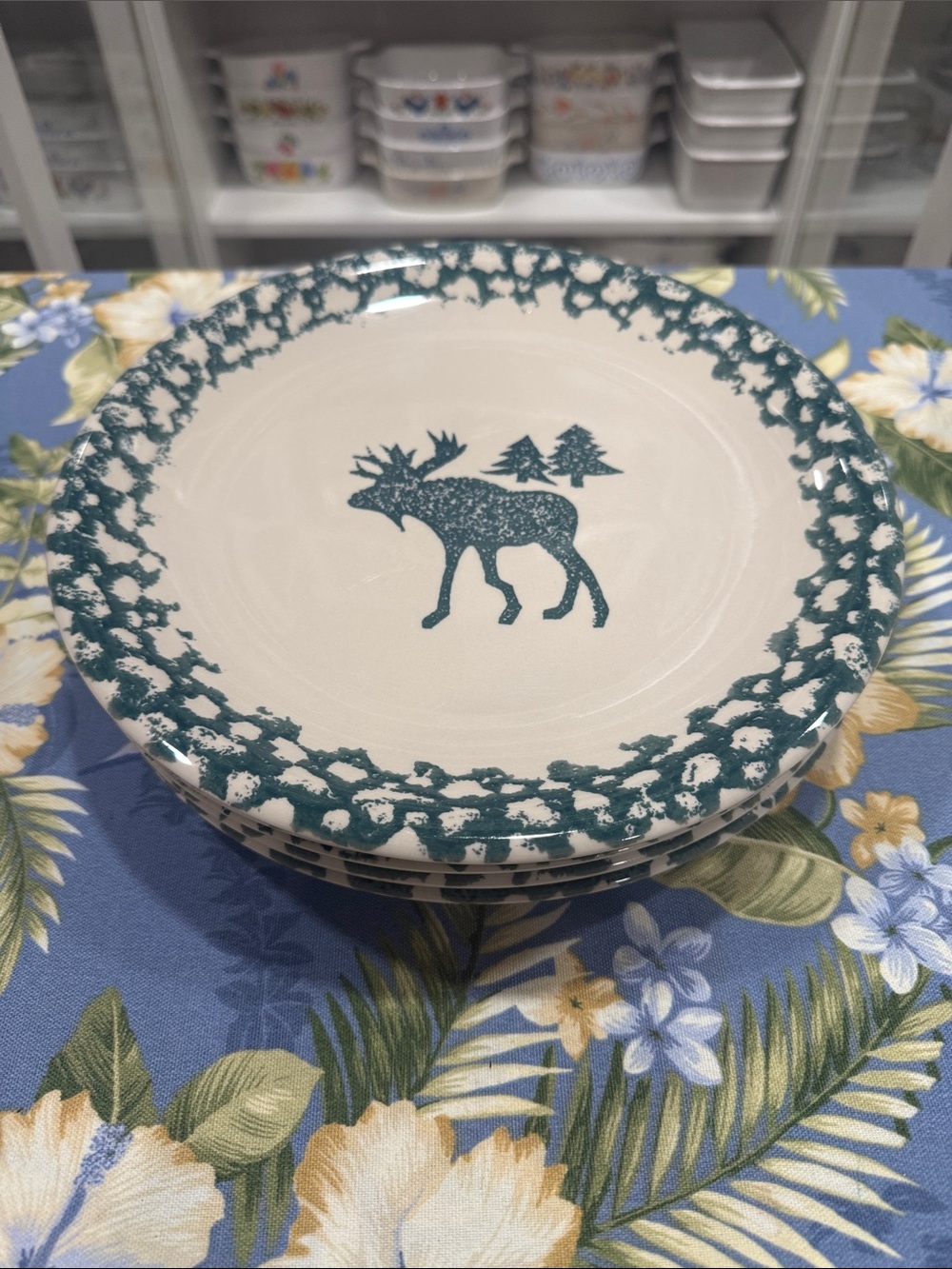Moose Accent Dinner Plates set of five